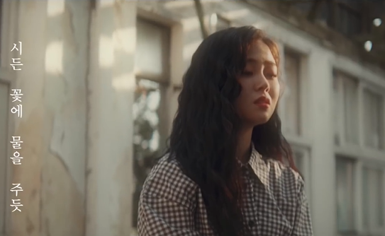 오늘의 추전 노래 시든 꽃에 물을 주듯 -박혜원