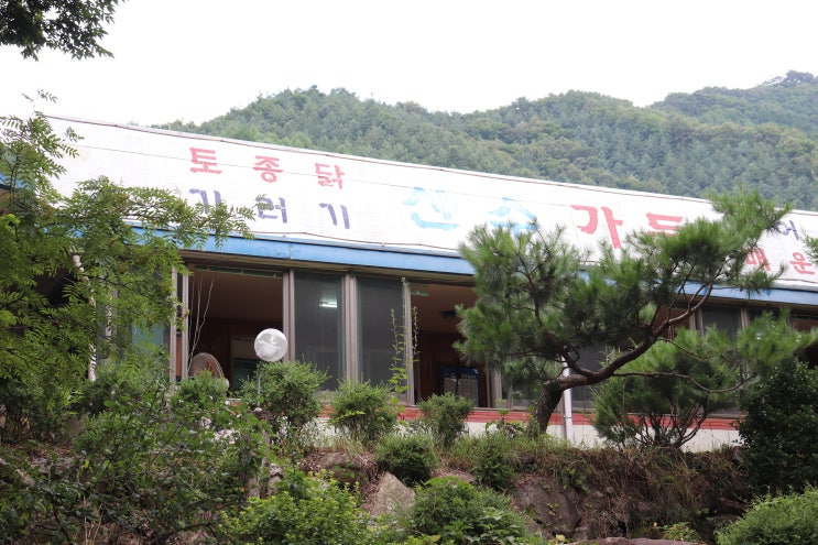 [봉화] 봉화 오전약수터 닭백숙 맛집 산수가든 +시원한 계곡에 발 담그기