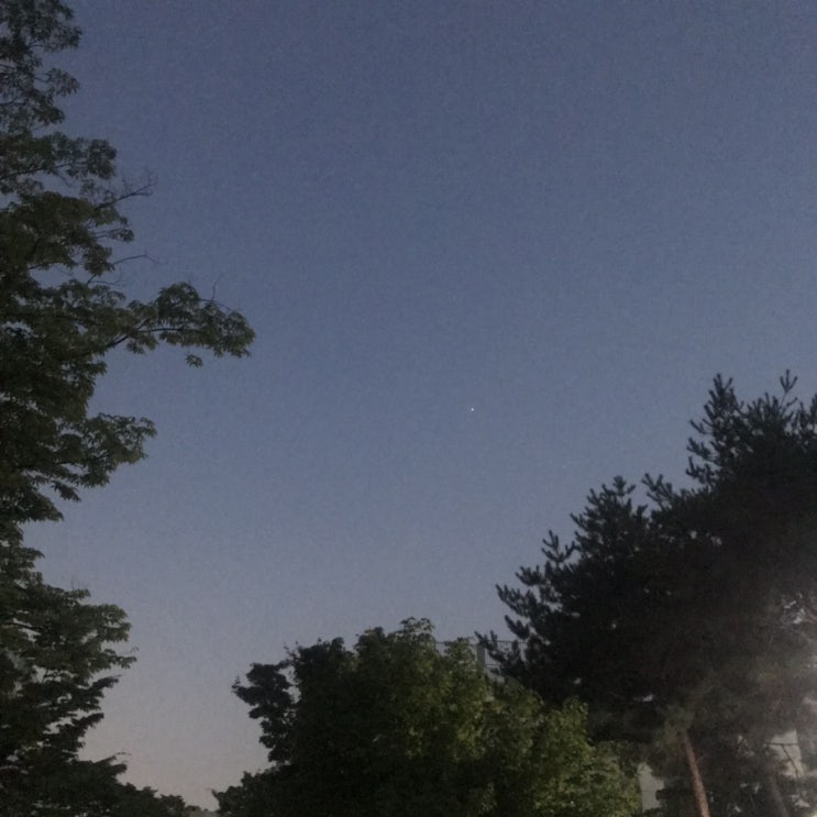  내 하루에 최선을 :: 190729 - 190803