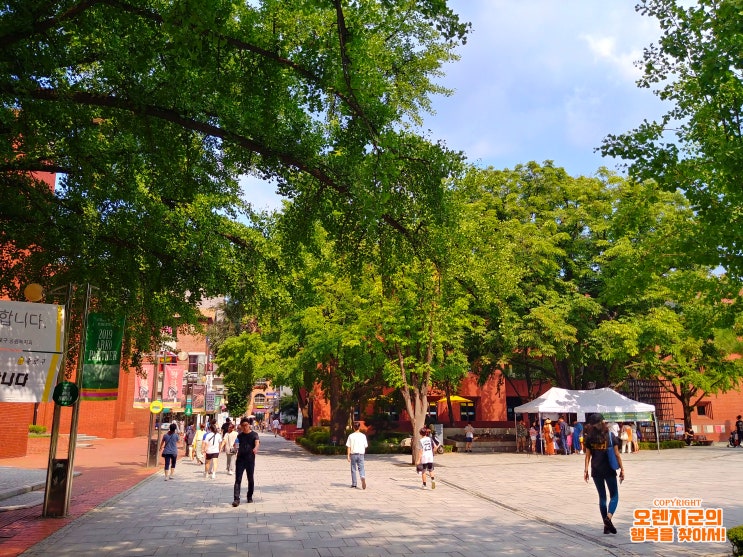 서울 종로구 Seoul - 마음 울적한 날에 거리를 걸어보고, 향기로운 칵테일에 취해도 보고. 낭만이 넘치는 공원. 대학로 마로니에 공원