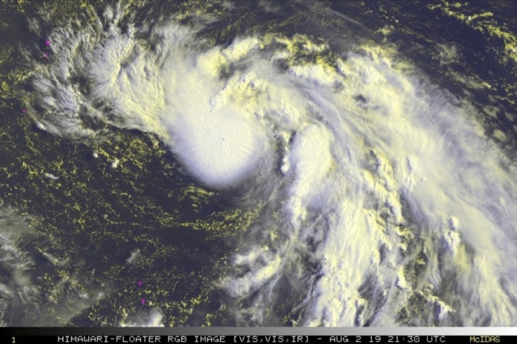 제 8호 태풍 프란시스코 남해안에 1등급으로 상륙 예보