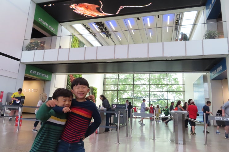  [RT East-Day16-1] 보스턴 과학관 (Boston Museum of Science) / 번개 시연 Lightning! Presentation / ASTC 무료입장