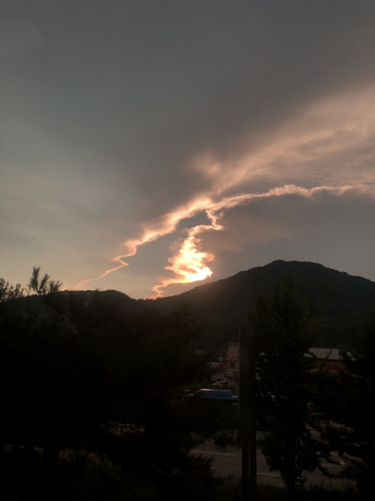  사자는 당신에게 반하지 않았다.