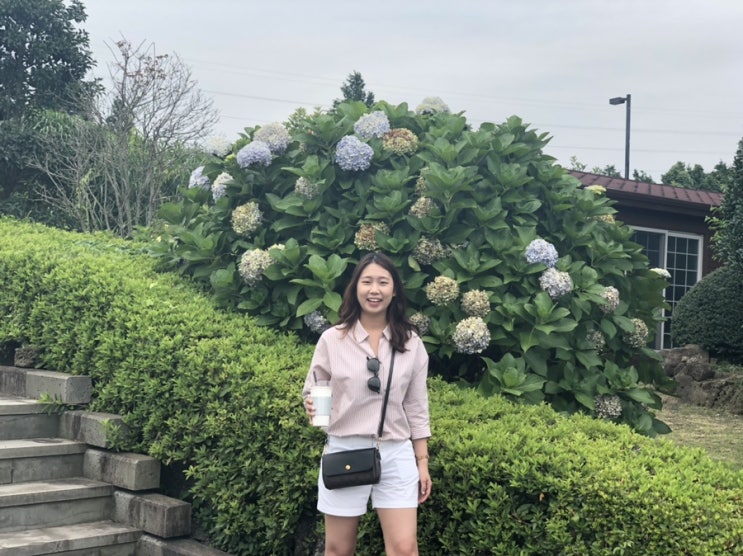  [8월 제주도 3박 4일 여름휴가] 김포공항부터 제주공항에서 렌트까지