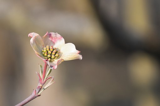 별자리 이야기/12별자리의 신체 유지 관리법(원문)