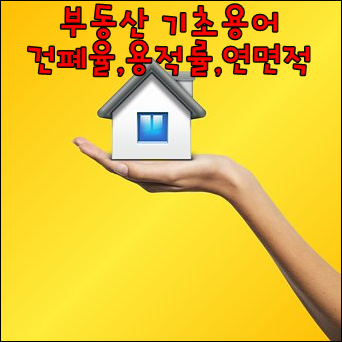  부동산기초용어 건폐율,용적률,연면적이란?