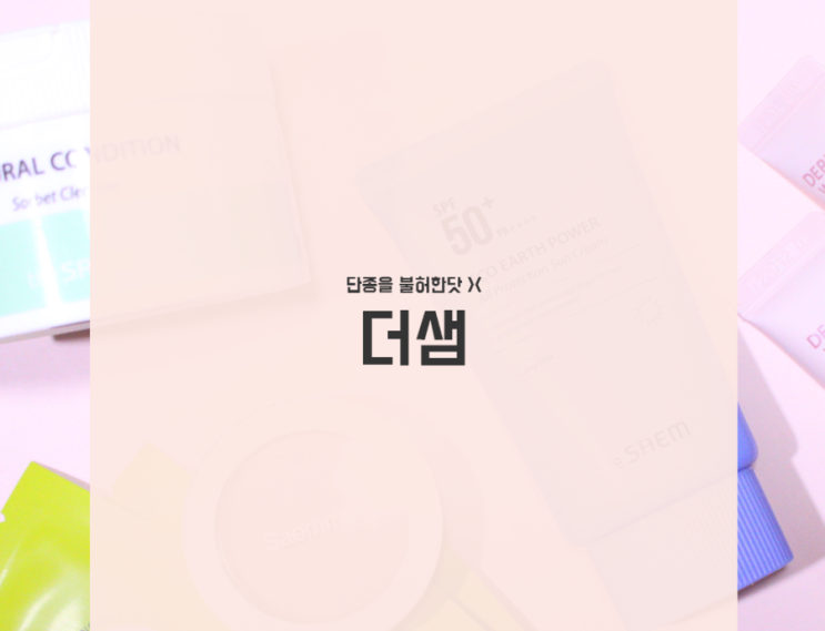  더샘 단종방지 >< 올인원 클렌저부터 더샘 컨실러 & 블러셔까지!
