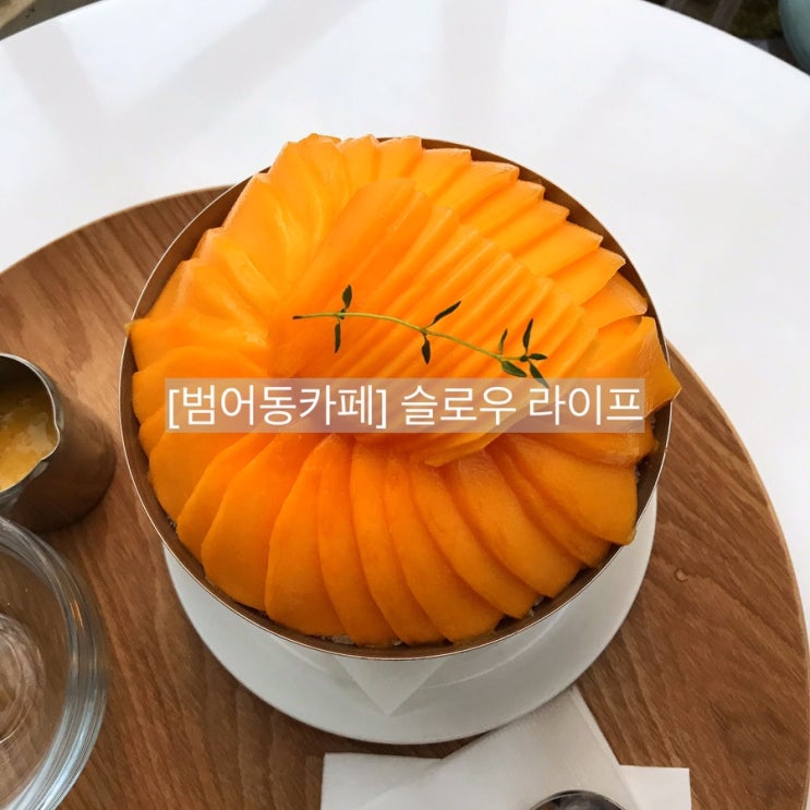  [대구범어동카페/범어동핫플]마음이 여유로워지는 도심속 정원 카페 -슬로우라이프