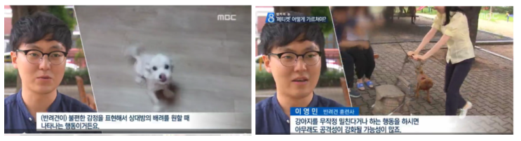  펫티켓 3) 산책 중 반려견끼리 만나는 방법