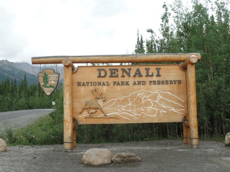 [Denali National Park] A Shuttle Bus Tour from Fairbanks, Alaska - 디날리국립공원 셔틀버스 투어 [알래스카 신혼여행]