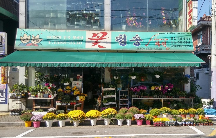  [2년 전 오늘] 분당 구미동꽃배달 서울대학병원 장례식장 근조화환 당일꽃배달  배송사진 문자서비스  분당서울대병원  착한꽃집 청송화원