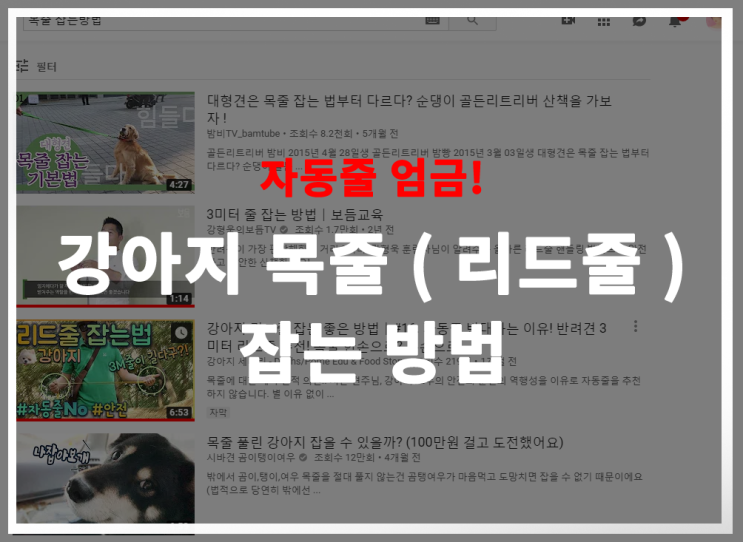  강아지 리드줄 잡는법 혹은 개 목줄 쥐는방법. 자동줄 제외! 줄길이는 3M 정도를?