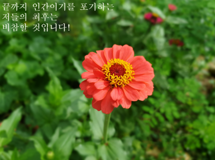  끝까지 인간이기를 포기하는 저들의 최후는 비참할 것입니다!