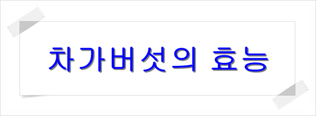  자작나무에겐 암 / 우리에겐 항암제 차가버섯 고르는 요령, 부작용