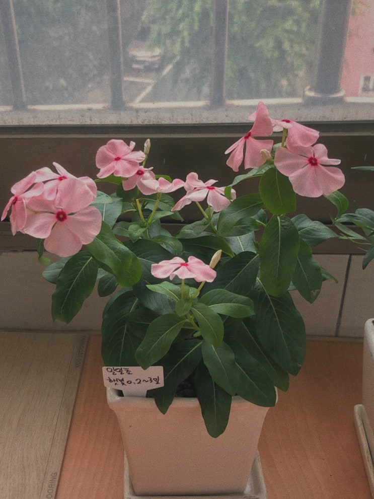  만반잘부!!!!!!!!!!!!!! [*。ﾟ*ヾ(ゝз・)ノ]
