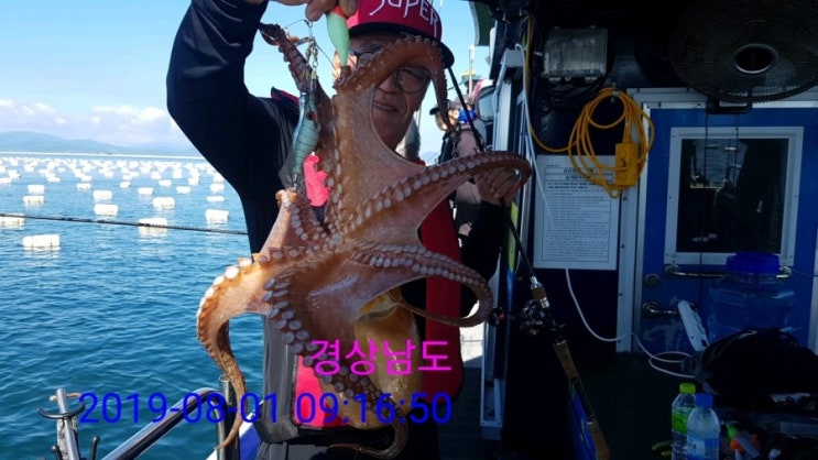  #꿀잼낚시#부광호#사량도돌문어#조황