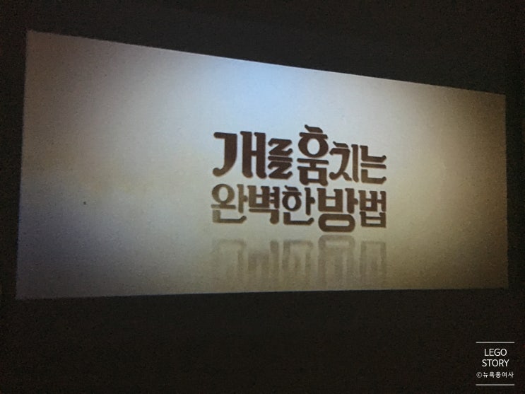  여름방학 가족영화, 자녀와 함께 볼 만한 영화: 김성호 감독의 개를 훔치는 완벽한 방법을 빔 프로젝터로 한국과자 먹으며 초등학생 자녀와 영화 보기