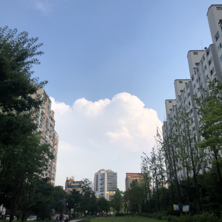  20190803