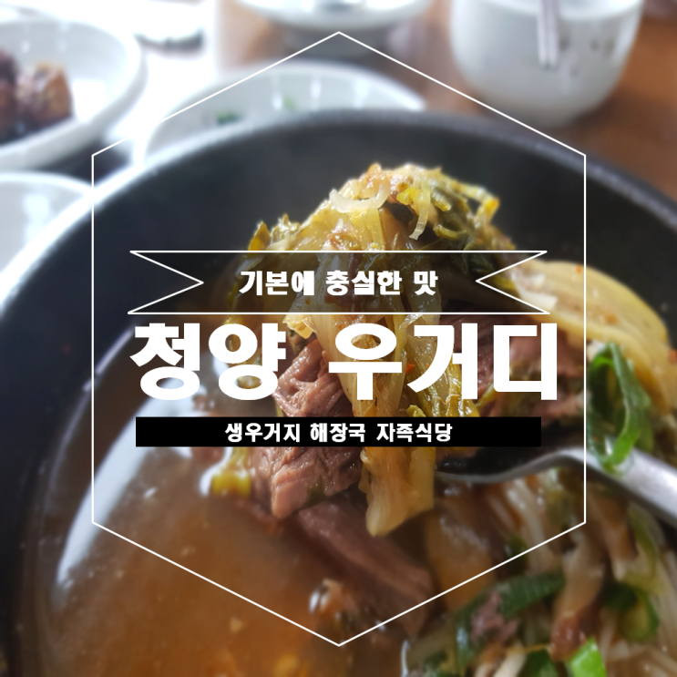  청양군 맛집 자족식당 청양우거디 과연 맛은?