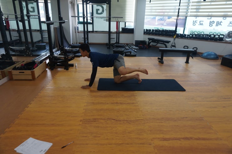  부천시청PT - 누구보다 부드럽고 강하게!/야구선수트레이닝/구로야구선수트레이닝/센터오브그래비티