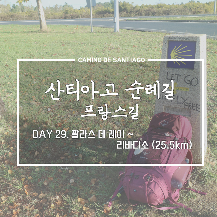  171027 산티아고 순례길 Day29 팔라스 데 레이~리바디소 (25.5km)