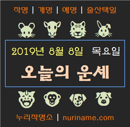  [띠별 오늘의 운세] 2019년 8월 8일 목요일 (타오름달 여드레 남날)