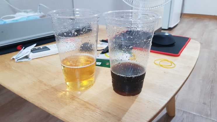 초파리 없애는 방법 (맥주 트랩)
