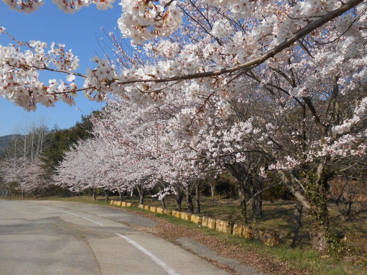  꾸준함이 ''운동절벽''막는다