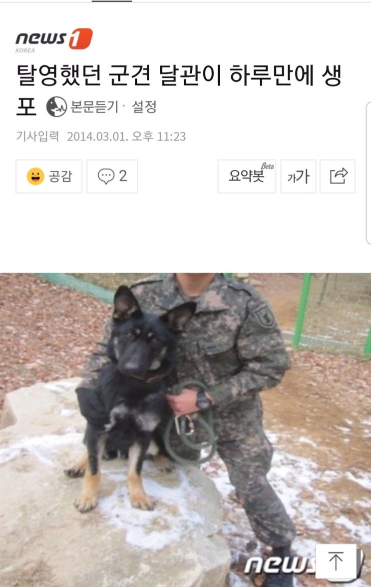  조은누리양을 발견한 군견