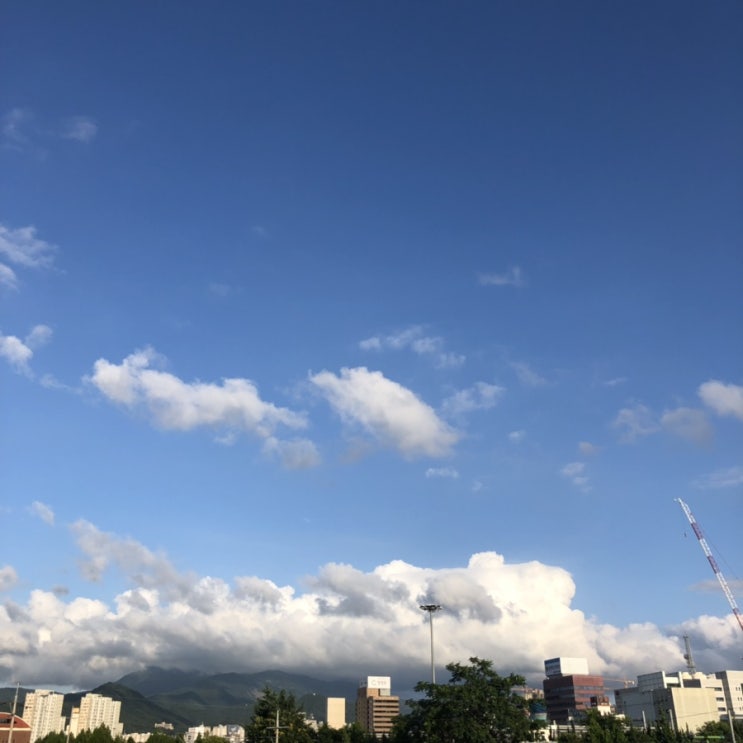  이거슨 일상