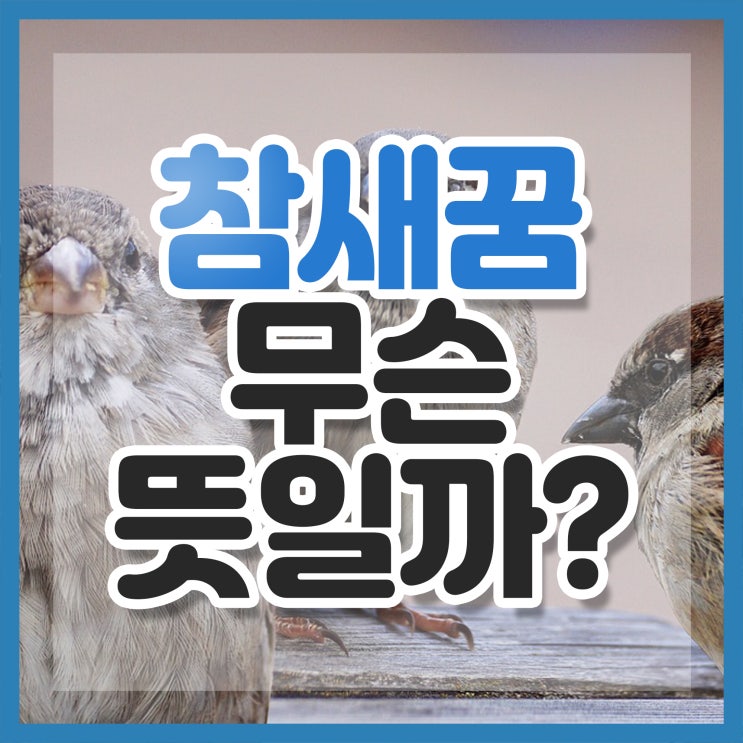  참새꿈 무슨 의민지 알고 계신가요?