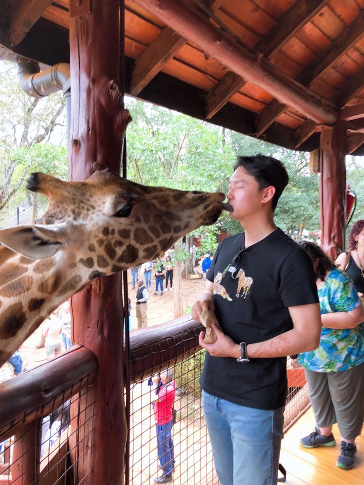  아프리카 케냐 여행 나이로비 기린센터 방문 후기(Giraffe Center)