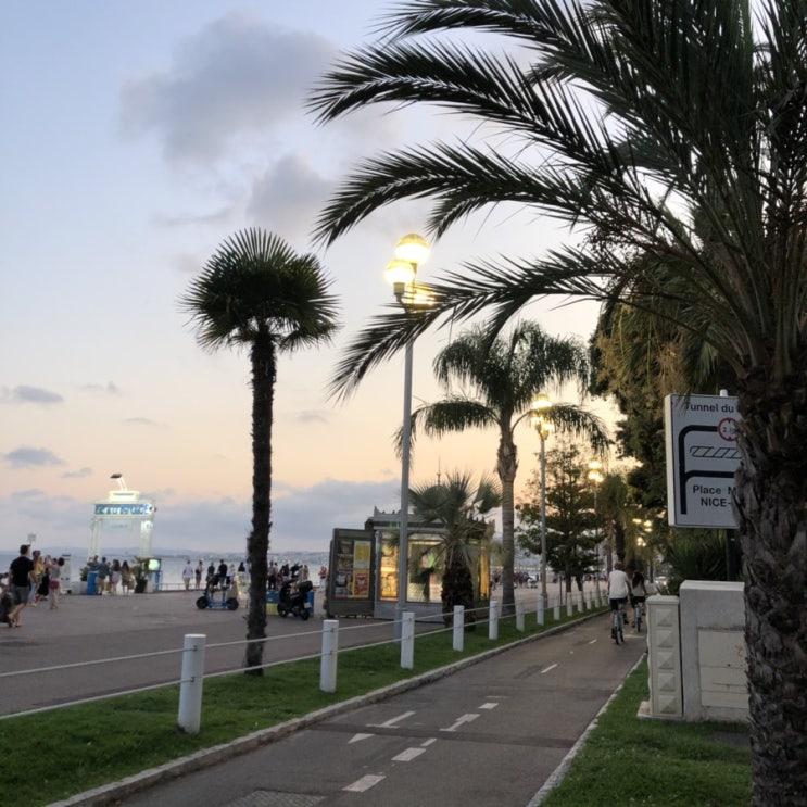  Nice is nice_1