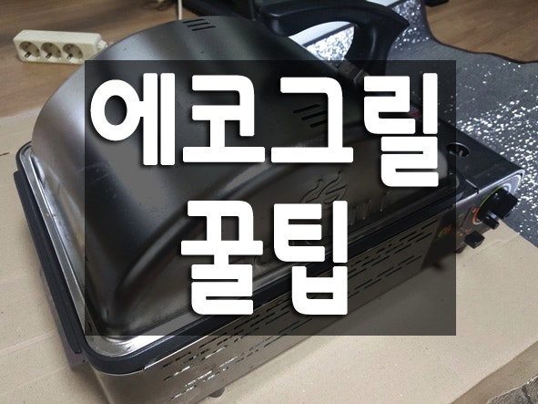 "에코그릴 사용 후기 장점 vs 단점"