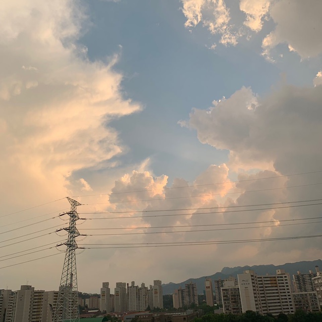  [2019,일상] 8월의 일상 #