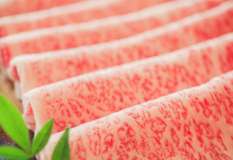  건강한 소고기 저칼로리 편백나무 찜요리 서울편백찜 광장점 광나루역 워커힐 밥집 가족식사 추천 맛집 공연뒤풀이 저녁한끼 한우 목심 맛있는 녀석들 일본 세이로무시 칼로리 채소찜 우동