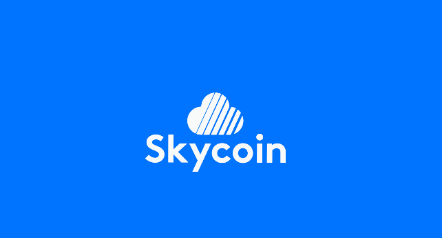 스카이코인(SKYCOIN) 블록체인, 커뮤니티에 의해 개발 중인 오픈소스 프로젝트!