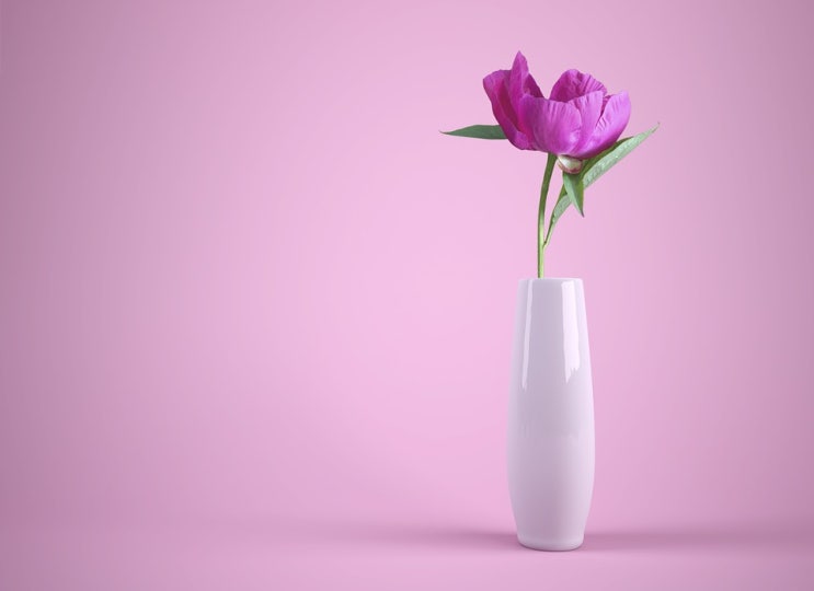  [자기소개서 첨삭] LG MMA [2019년 9월 23일 마감]