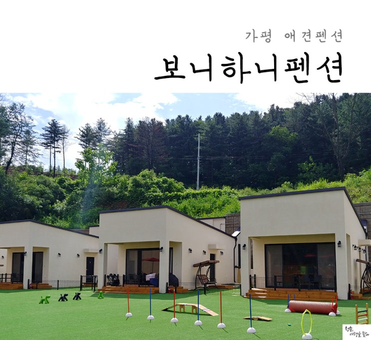  가평 애견펜션 보니하니펜션 신나게 놀아!