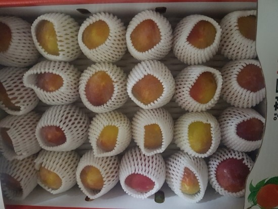  왕자두 판매합니다.