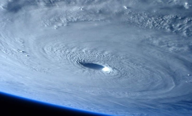 제 8호 태풍 "프란시스코" 가 올라 오고 있는데 태풍이 지나고 나면 조개들이 몰려 밀려 옵니다. 