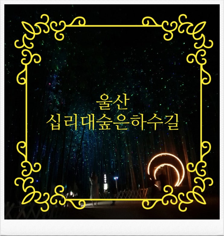  울산십리대숲은하수길