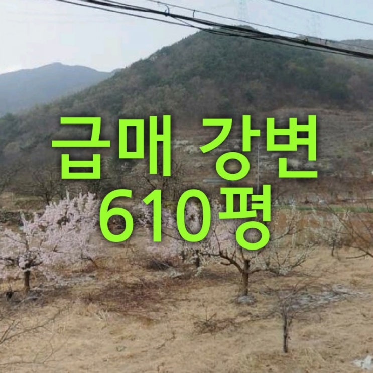  (11398)급매 강인근 전원주택지 610평/밀양부동산/밀양땅/밀양토지