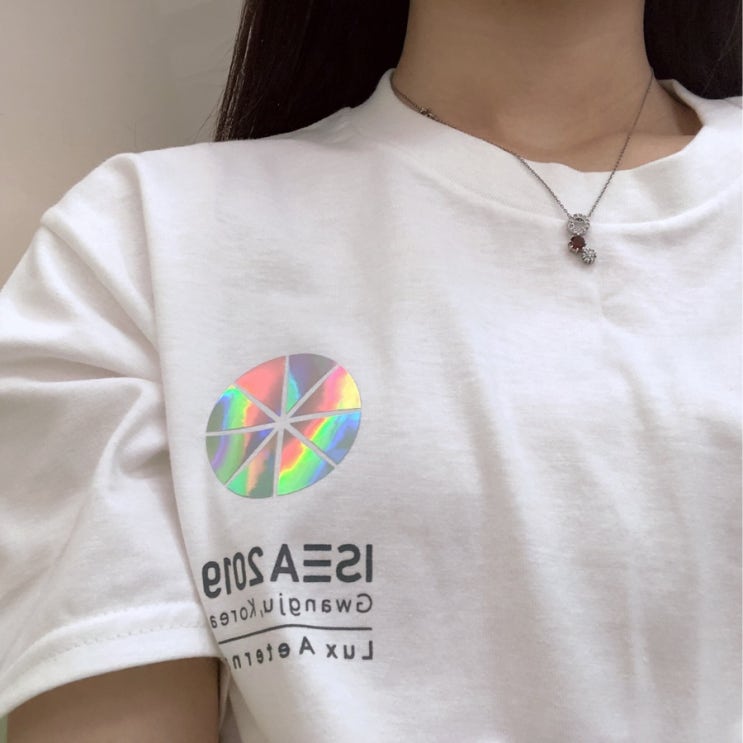  ISEA 2019 봉사활동 후기