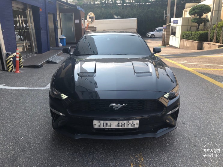  2019 포드 머스탱 재고부족으로 구매 힘드셨죠? 해결해드립니다!