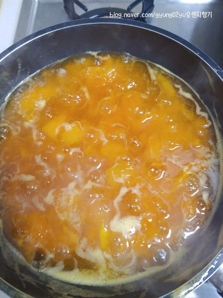  살구잼 만들기!