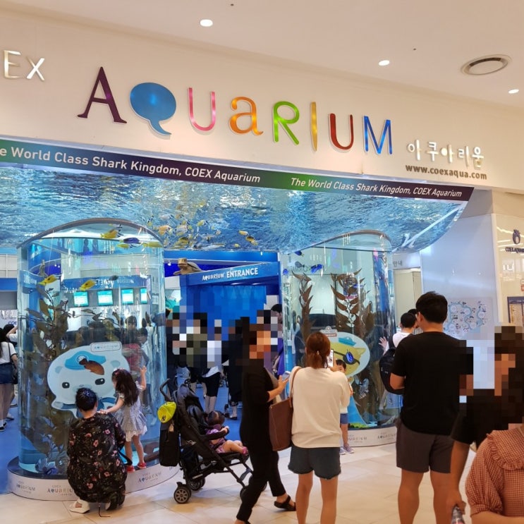  서울여행#1 코엑스 아쿠아리움/수중공연시간/생물식사시간
