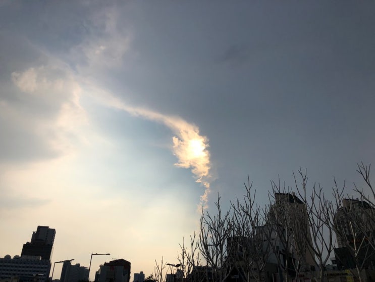  하늘을 뒤덮은 구름