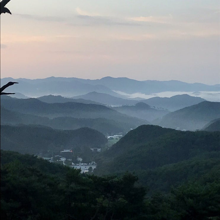  용문사 템플스테이 2탄 <나혼자 템플스테이> 나혼자산다 헨리가 다녀간 절! 양평 용문사