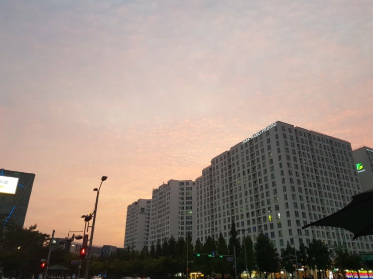  신혼일기_8월 첫째주의 일상. 카페, 쇼핑, 서울숲, 사슴, 맛집, 노을.